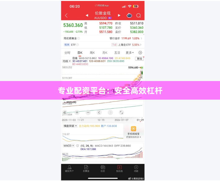 专业配资平台：安全高效杠杆